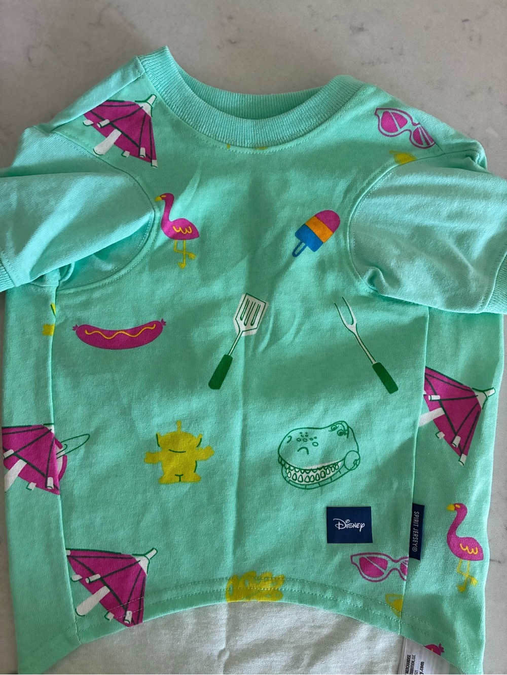 Disney Tails Tee Shirt for Dog Chillin Grillin Toy Story Rex Spirit Jersey  💚